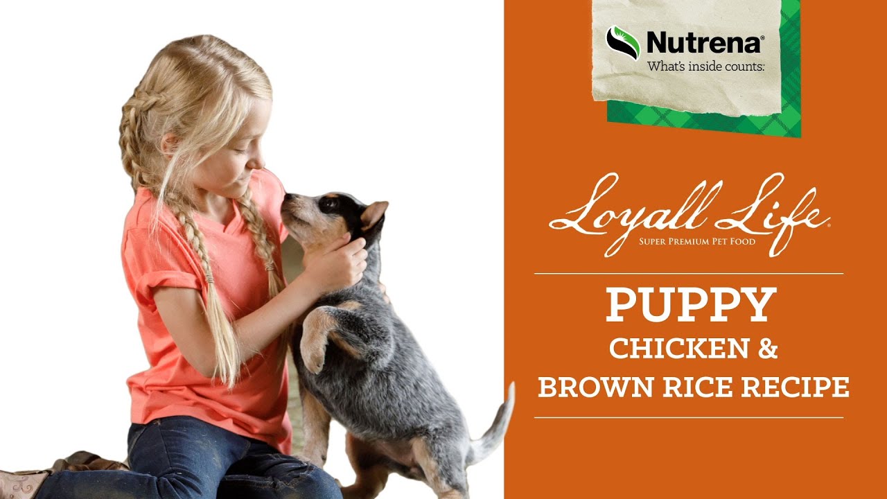 loyall life puppy food near me