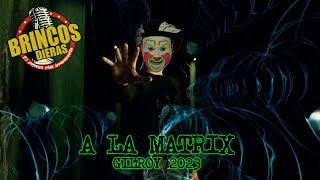 A LA MATRIX (GILROY 2023)