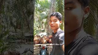 kerja kalian apa??? supir??? mana enak!!!