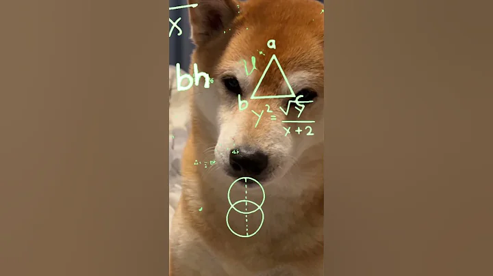Seeing If my Shiba is Smart or Dumb
