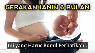 GERAKAN JANIN 6 BULAN YANG NORMAL, Ibu Hamil Perhatikan Hal Ini..