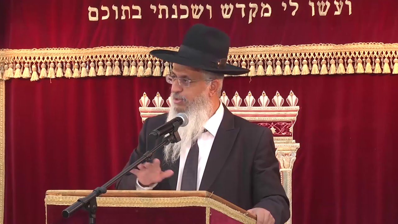 הלכות בין אדם לחברו שיעור 21 הגדרת עמך בשמירת הלשון - YouTube