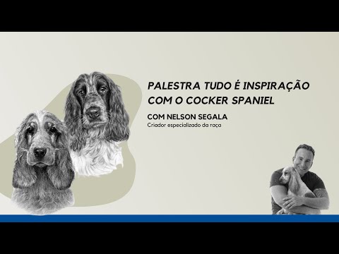 Vídeo: Esta doença afeta 80% dos Spaniels ingleses de Springer. Seu filhote está sofrendo silenciosamente?