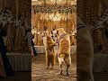 Cat and Dog Dance Together… Cutest Performance Ever! ❤️