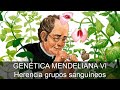 Genética mendeliana 06: Herencia grupos sanguíneos