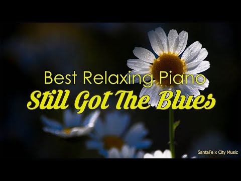 Still Got The Blues 💛 Best relaxing Music |  Milagrosas Time