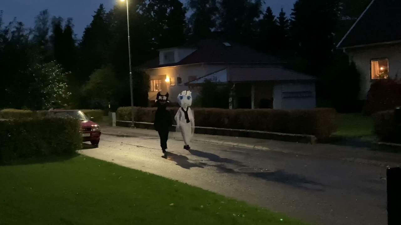 Besök av sommar och vinterskuggan