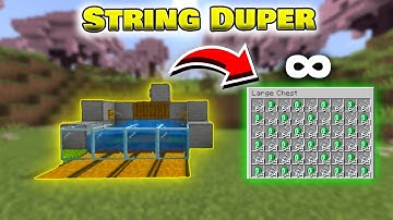 Infinite String Farm in Minecraft 1.20 & 1.21! (Duplication Glitch!) | Minecraft Tutorial