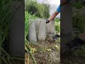😳 Le glitch pour avoir de l’ail à l’infini…