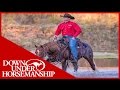 Clinton Anderson: How to Select a Trail Horse - Downunder Horsemanship