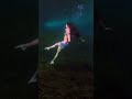 Mermaids &amp; Merman: 3 underwater epic scenes