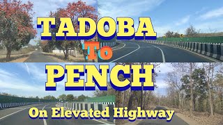 Tadoba to Pench on Elevated Highway,#Tadoba#JungleSafari#Pench#PenchTigerReserve#Tigers