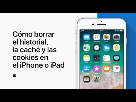 Cómo borrar el