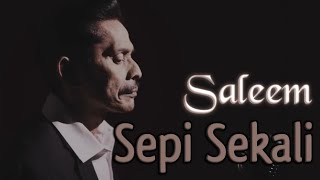 SALEEM - Sepi Sekali | Video Lirik