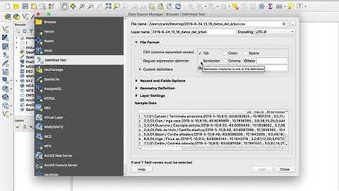 Importar Datos de Texto Delimitados y Georeferenciados en QGIS
