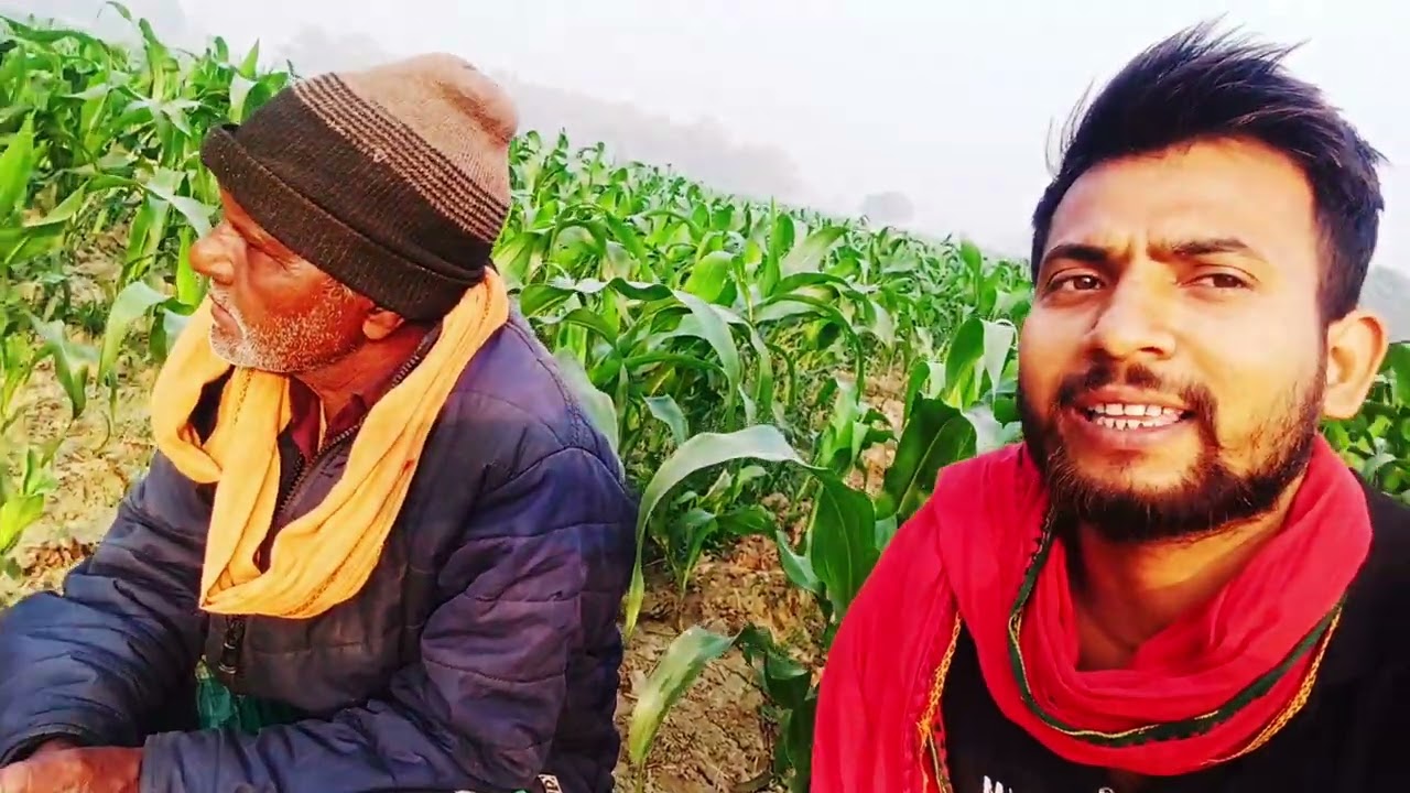 गांव के तालाब में मछली कैसे पकड़ा।। पूरा वीडियो देखें और मजे लें।।@thakurraj9500 