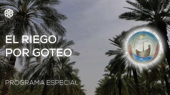 Da 26 | El riego por goteo (programa especial) | P...
