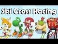 Mario Sonic At The Olympic Winter Games DS Ski Cross Racing All Characters Mario Sonic At The Olympic Winter Games DS Ski Cross Racing All Characters
