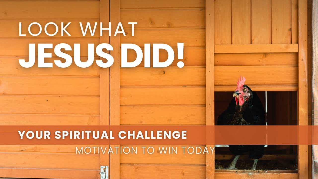 Look What Jesus Did! - May 15