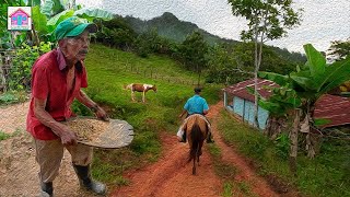 JESUS EN LA LOMITA UN CAMPO HERMOSO Y TRANQUILO DE REPUBLICA DOMINICANA