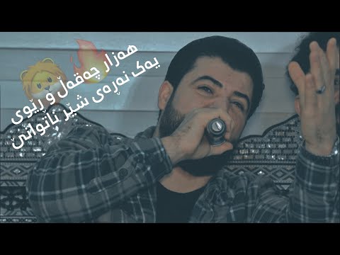 Awat Bokani Hazar Chaqal U Rewi Yak Naray Sher Natwane Danishtni Shalaw Koye Track 2