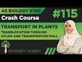 Translocation Through Xylem | Transport in Plants | 9700 AS Biology Urdu/Hindi