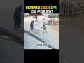 아이만으로 대형견 산책, 정말 괜찮을까요?