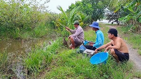Trúng bầy rô biển và thác lác khủng. Bỏ mòi xuống là giật lia lịa ở vườn mai bỏ hoang....