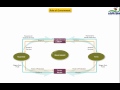 Economic Interactions Between Households and Firms in the Circular Flow Model
