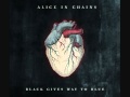   alice in chains  your decision  