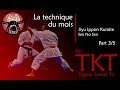 La technique du mois  jiyu ippon kumite sen no sen 35