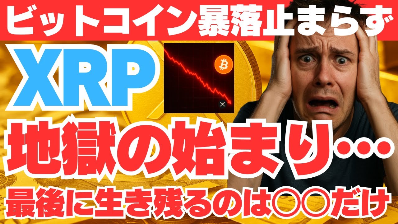 地獄の始まり】ビットコイン暴落止まらず！世界の投資家が逃げ込む“最後の避難先”はXRP！？ - YouTube