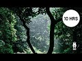 Relaxing Rain Sleep Sounds to Fall Asleep to | Perfect Sleep Aid | 10 Hours