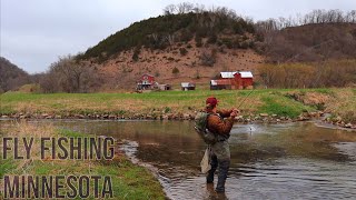 FLY FISHING MINNESOTA | WE HAD TO TALK TO THE LAND OWNER | DRY FLY FISHING WILD TROUT | DRIFTLESS