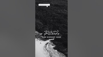 سورة الحج الاية 77 «يايها الذين امنوا  اركعوا وسجدوا »