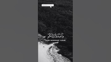 سورة الحج الاية 77 «يايها الذين امنوا  اركعوا وسجدوا »