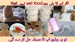 Cat wet food recipe | Secret ingredient which makes ur cat to love this wet food