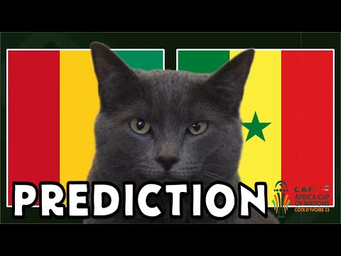 2023 Africa Cup of Nations Prediction - Guinea vs Senegal - Cass the Cat