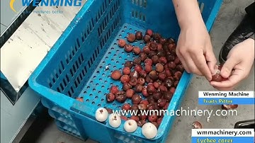 Automatic lychee Corer machine litchi seed removing machine Lychee pitting machine
