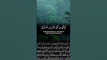 تلاوة خاشعة من سورة النحل (الآيات 68-69) بصوت القارئ محمد اللحيدان - راحة نفسية وتأمل #قرآن #قران