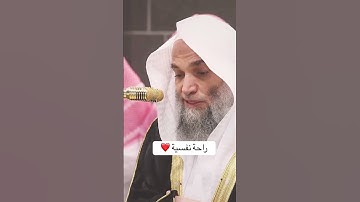 تلاوة عطرة للشيخ فيصل غزاوي من سورة الأنعام #المصحف #اكسبلور #دويتو #fyp #quran