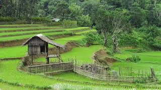 INSTRUMENT MUSIK SUNDA || MUSIK SUNDA || RELAKSASI || PENYEJUK KAMPUNG HALAMAN