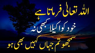 Best Allah quotes in Hindi Urdu / Powerful Islamic quotes about Allah / Urdu golden words