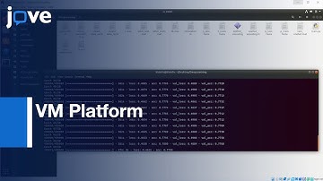 Biological Sequences Classification of Metagenomic Data by VM Platform | Protocol Preview
