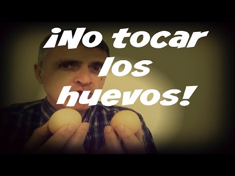 No tocar los huevos - YouTube