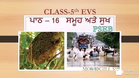 CLASS - 5th EVS LESSON - 16 SAMOOH ATE SUKH ( ਸਮੂਹ ਅਤੇ ਸੁਖ )