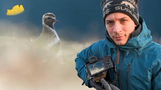 Bird Photography in the Norwegian Mountains!