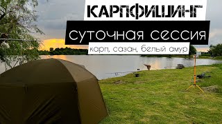 видео: Карп, сазан, белый амур! Карпфишинг. Суточная сессия. #рыбалка2023 #поймалотпусти картинка: Карп, сазан, белый амур! Карпфишинг. Суточная сессия. #рыбалка2023 #поймалотпусти