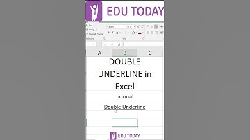 Excel Basic - DOUBLE UNDERLINE in Excel