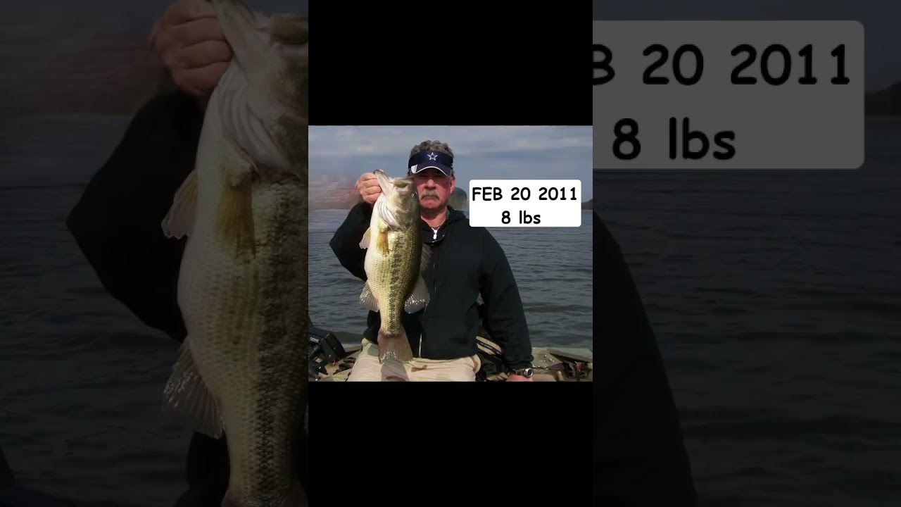 DEEP FLAT A BIG BASS